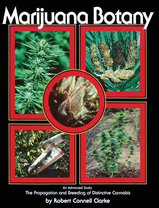 Cover: 9780914171782 | Marijuana Botany | Robert Connell Clarke | Taschenbuch | Englisch