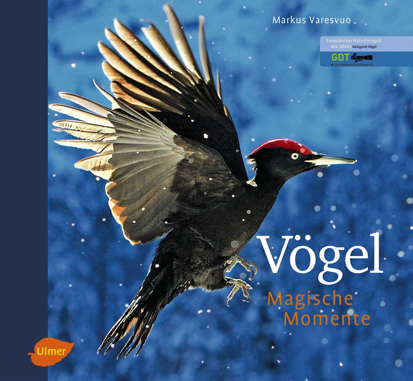 Cover: 9783800177080 | Vögel - Magische Momente | Markus Varesvuo | Buch | 160 S. | Deutsch