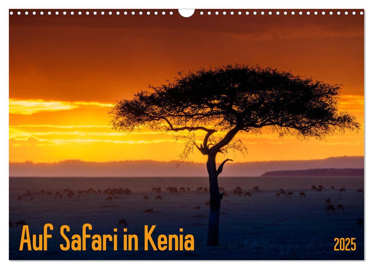 Cover: 9783435346417 | Auf Safari in Kenia 2025 (Wandkalender 2025 DIN A3 quer), CALVENDO...