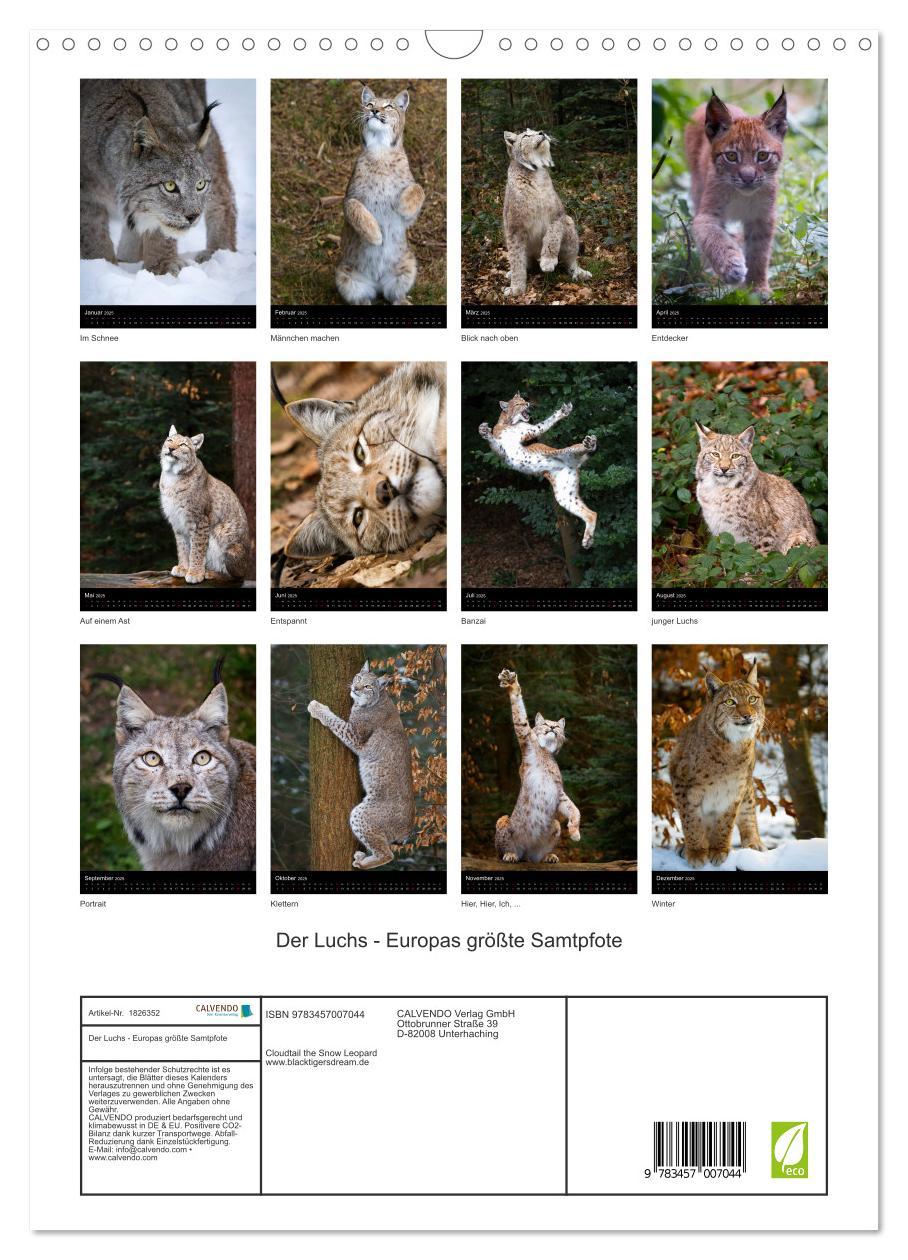 Bild: 9783457007044 | Der Luchs - Europas größte Samtpfote (Wandkalender 2025 DIN A3...