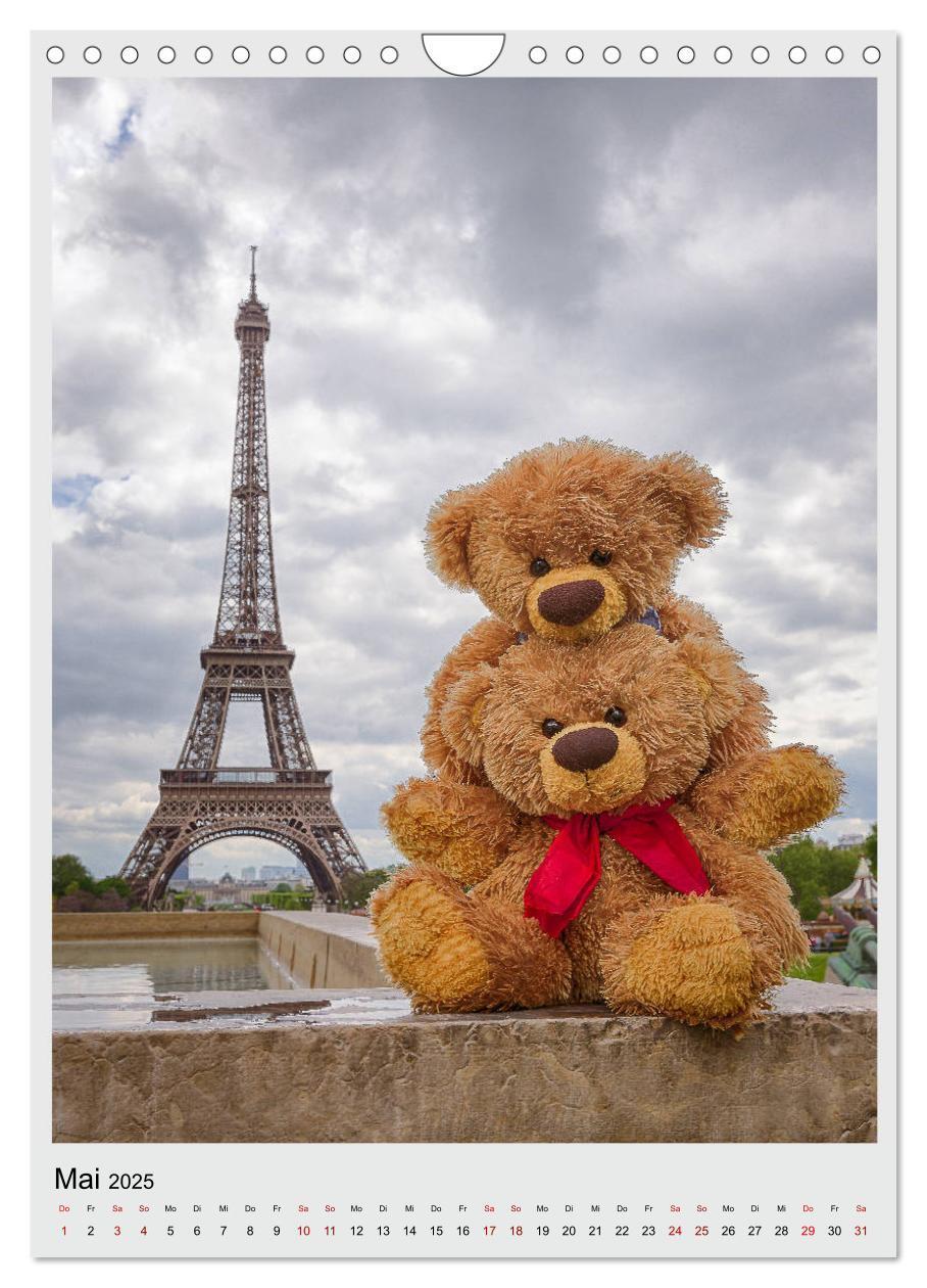 Bild: 9783435985371 | Travelling Teddy in Europa (Wandkalender 2025 DIN A4 hoch),...