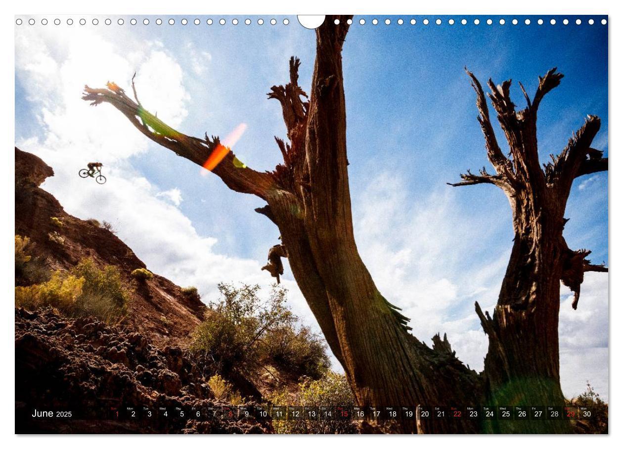 Bild: 9781325995608 | Mountain Bike 2025 by Stef. Candé / UK-Version (Wall Calendar 2025...