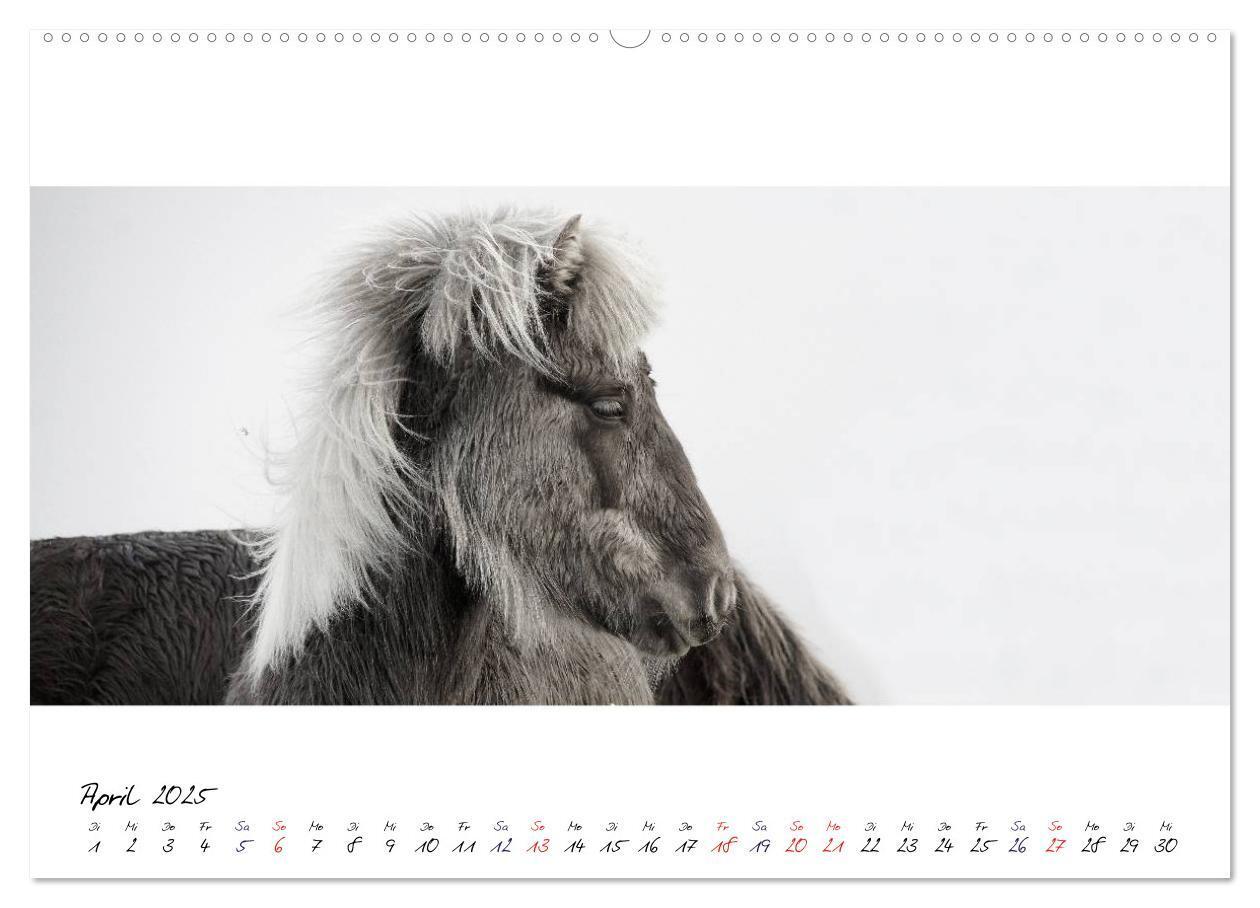 Bild: 9783435760251 | Islandpferde von Brimilsvellir (hochwertiger Premium Wandkalender...