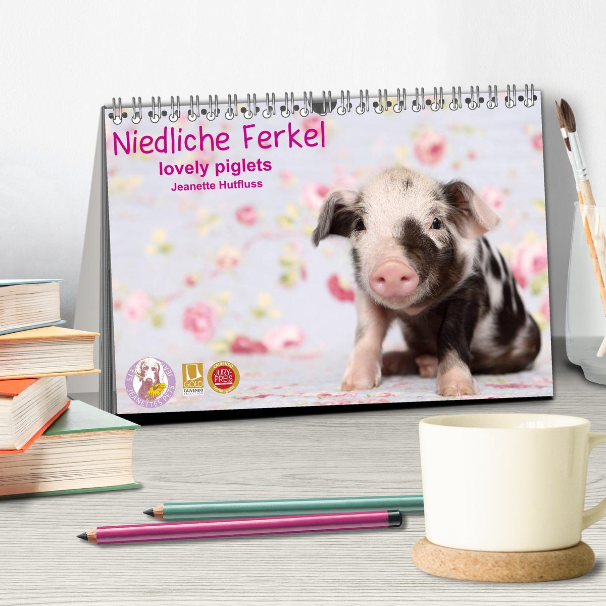 Bild: 9783435332663 | Niedliche Ferkel lovely piglets 2025 (Tischkalender 2025 DIN A5...