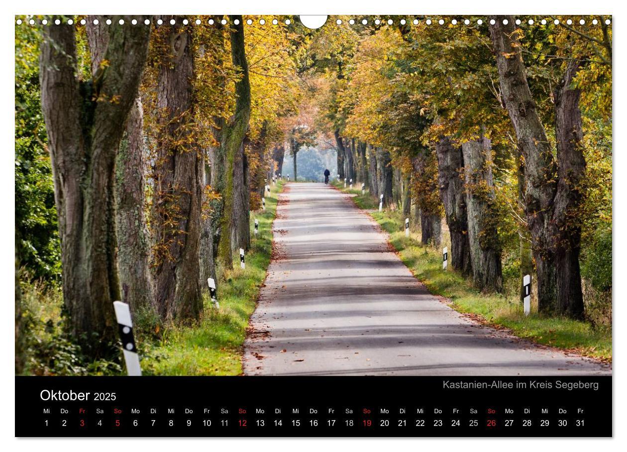 Bild: 9783435803637 | NORDWEH-Bilder 2025 (Wandkalender 2025 DIN A3 quer), CALVENDO...