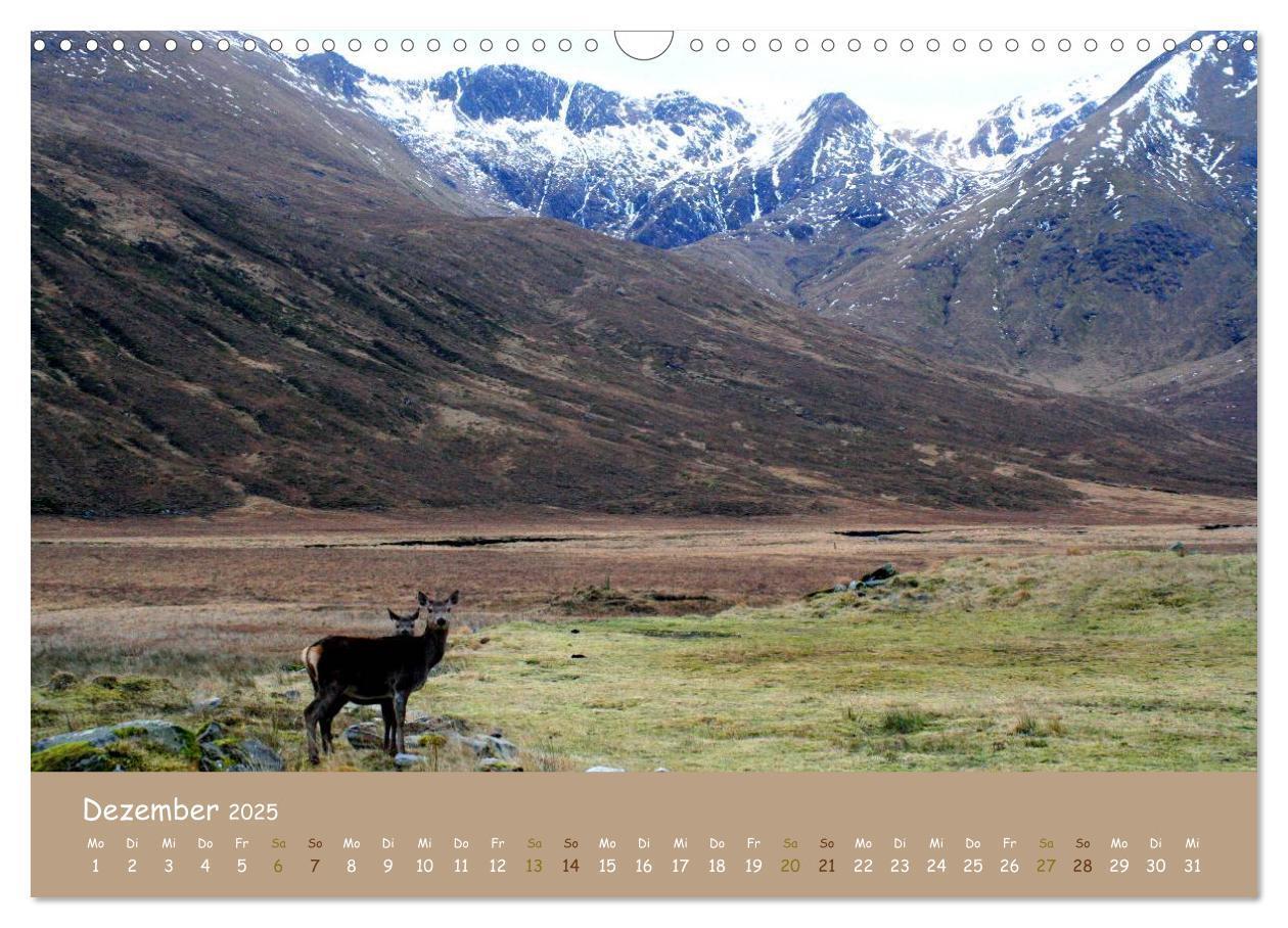 Bild: 9783435728169 | Schottische Highlands (Wandkalender 2025 DIN A3 quer), CALVENDO...