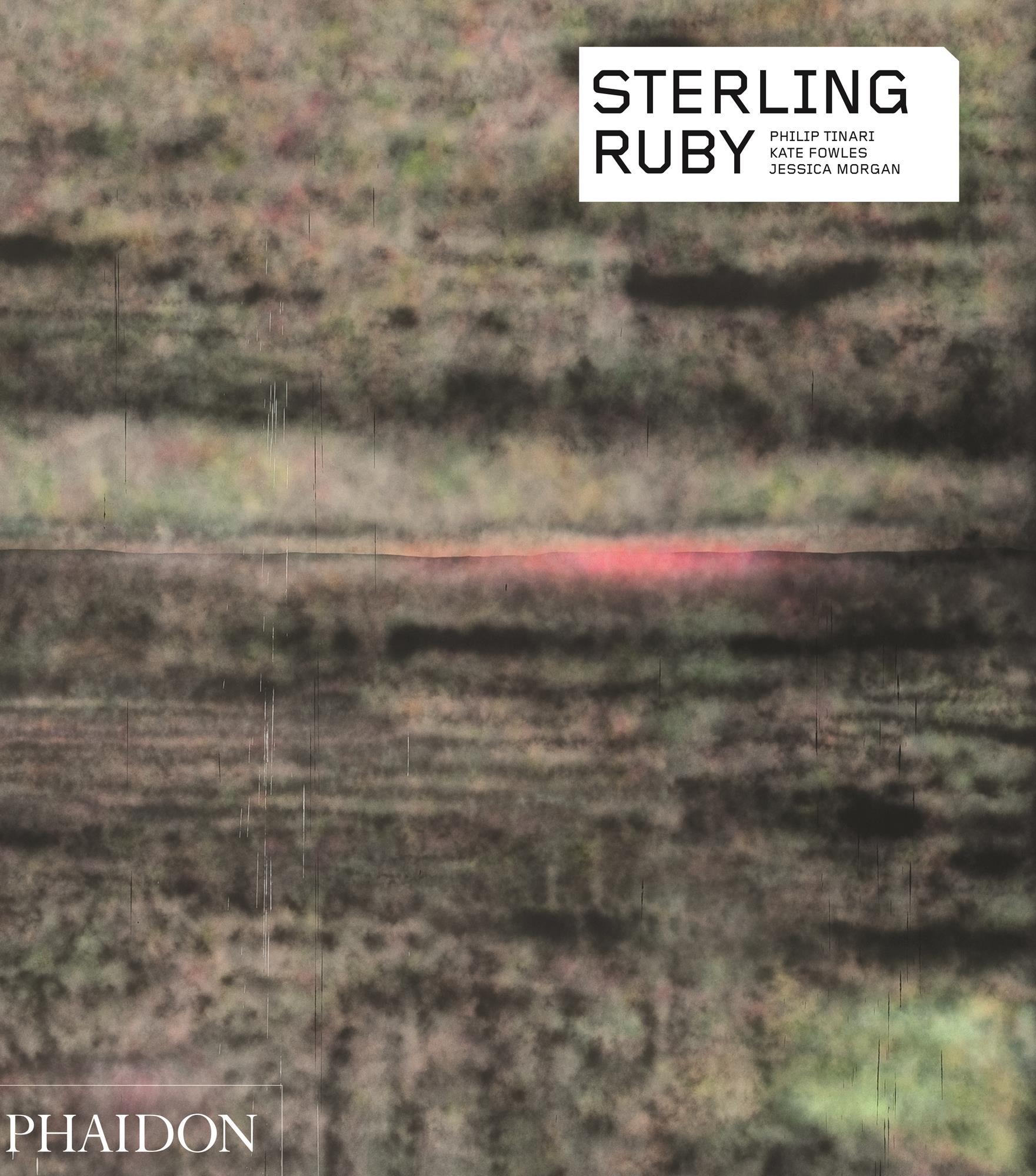 Cover: 9780714870434 | Sterling Ruby | Franklin Sirmans (u. a.) | Taschenbuch | 160 S. | 2016