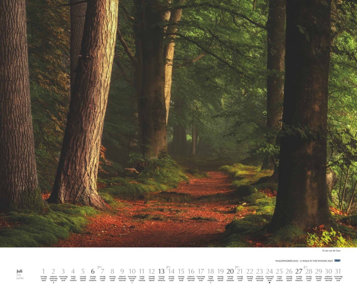 Bild: 4250809653426 | Waldspaziergang 2025 - Fotokunst-Kalender - Querformat 60 x 50 cm -...