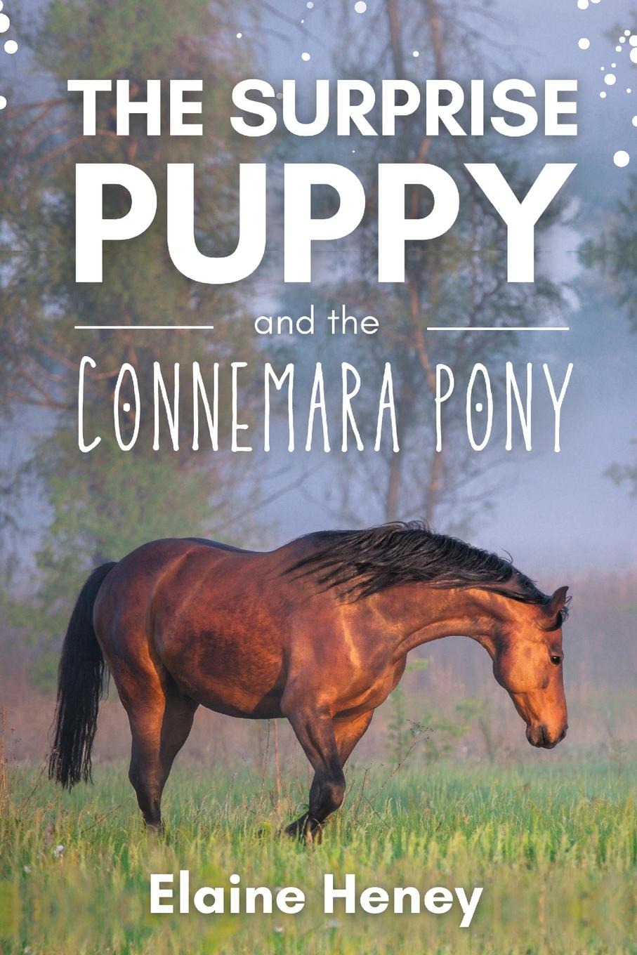 Cover: 9781915542243 | The Surprise Puppy and the Connemara Pony - The Coral Cove Horses...