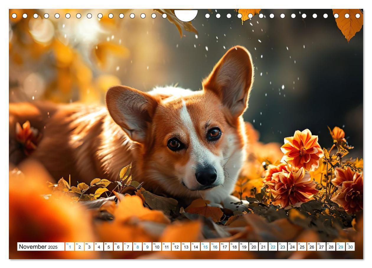 Bild: 9783383776069 | Happy Corgis (Wandkalender 2025 DIN A4 quer), CALVENDO Monatskalender