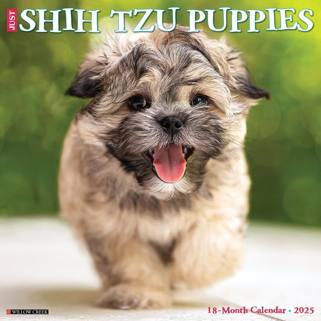 Cover: 9781549244865 | Just Shih Tzu Puppies 2025 12 X 12 Wall Calendar | Willow Creek Press