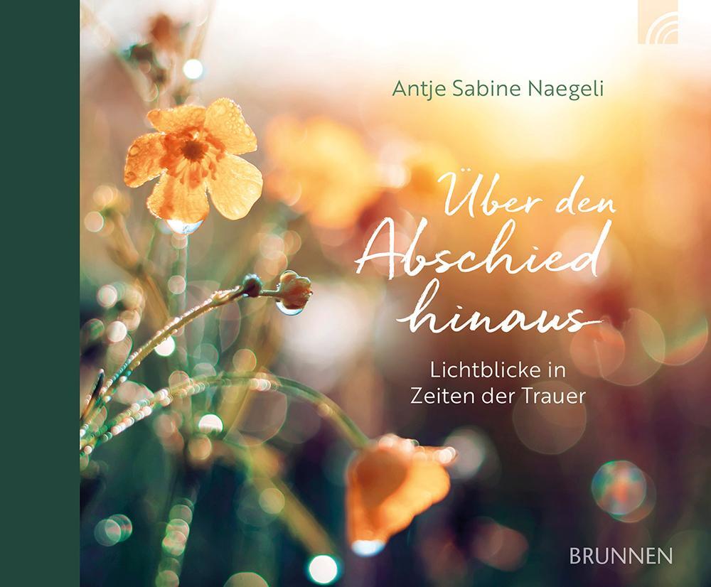 Cover: 9783765533228 | Über den Abschied hinaus | Antje Sabine Naegeli | Buch | 48 S. | 2024