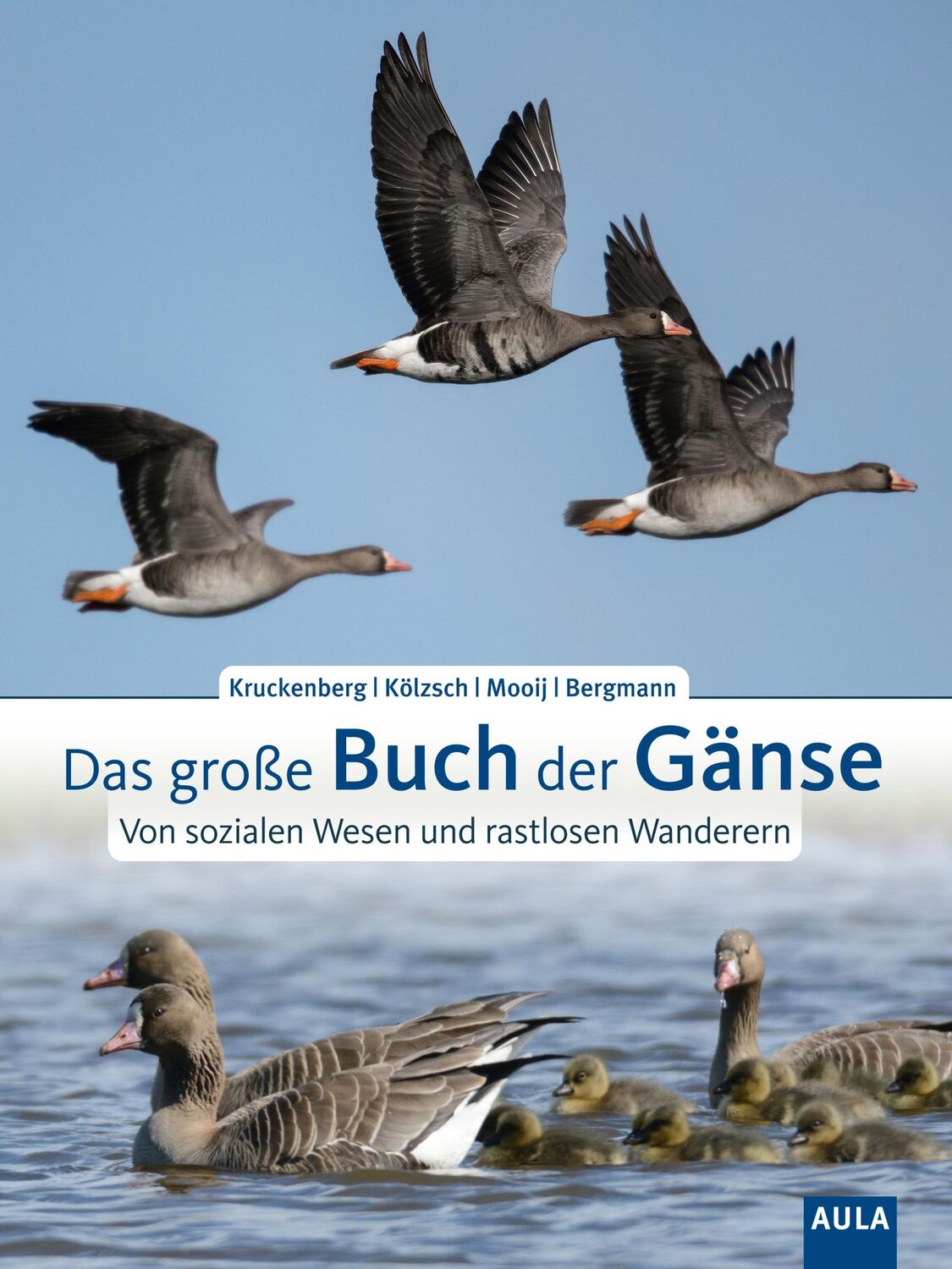 Cover: 9783891048412 | Das große Buch der Gänse | Von sozialen Wesen und rastlosen Wanderern