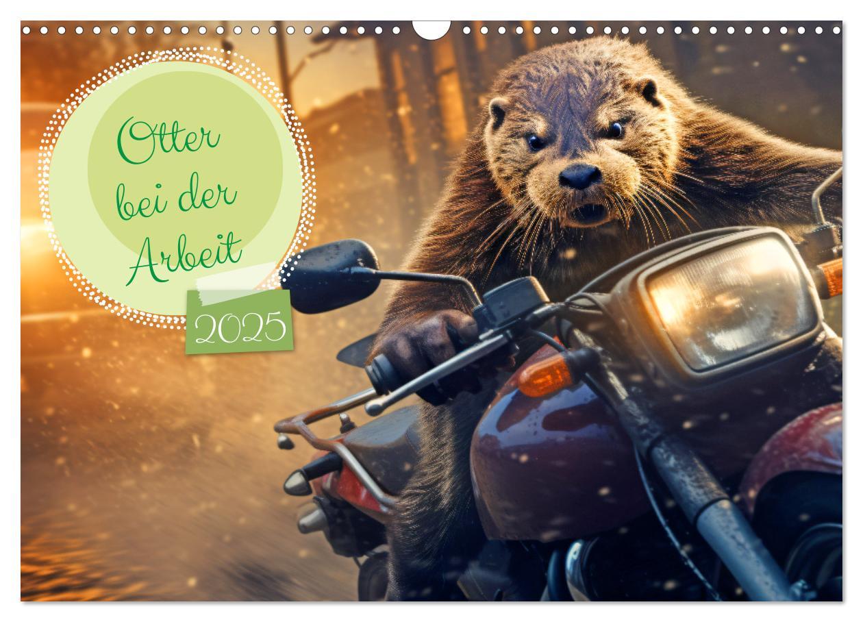 Cover: 9783383891984 | Otter bei der Arbeit (Wandkalender 2025 DIN A3 quer), CALVENDO...