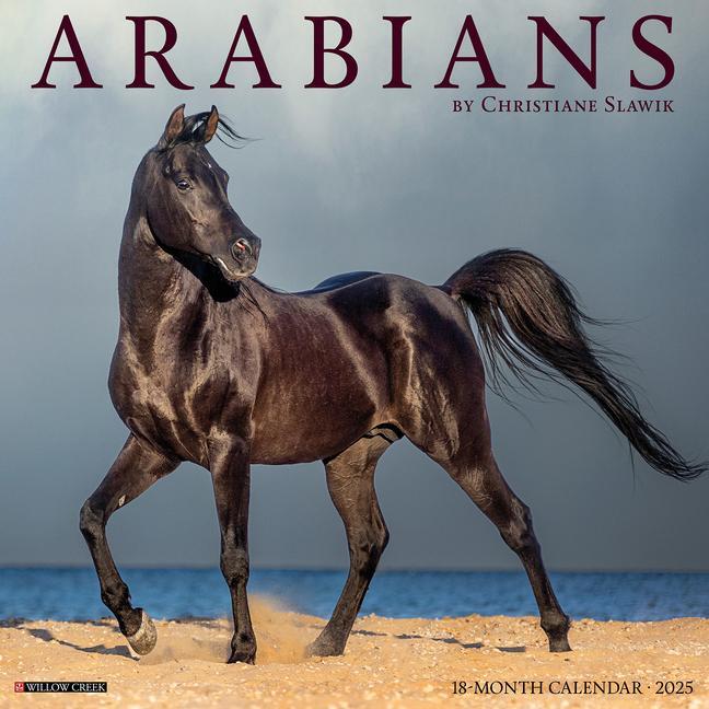 Cover: 9781549241413 | Arabians 2025 12 X 12 Wall Calendar | Willow Creek Press | Kalender