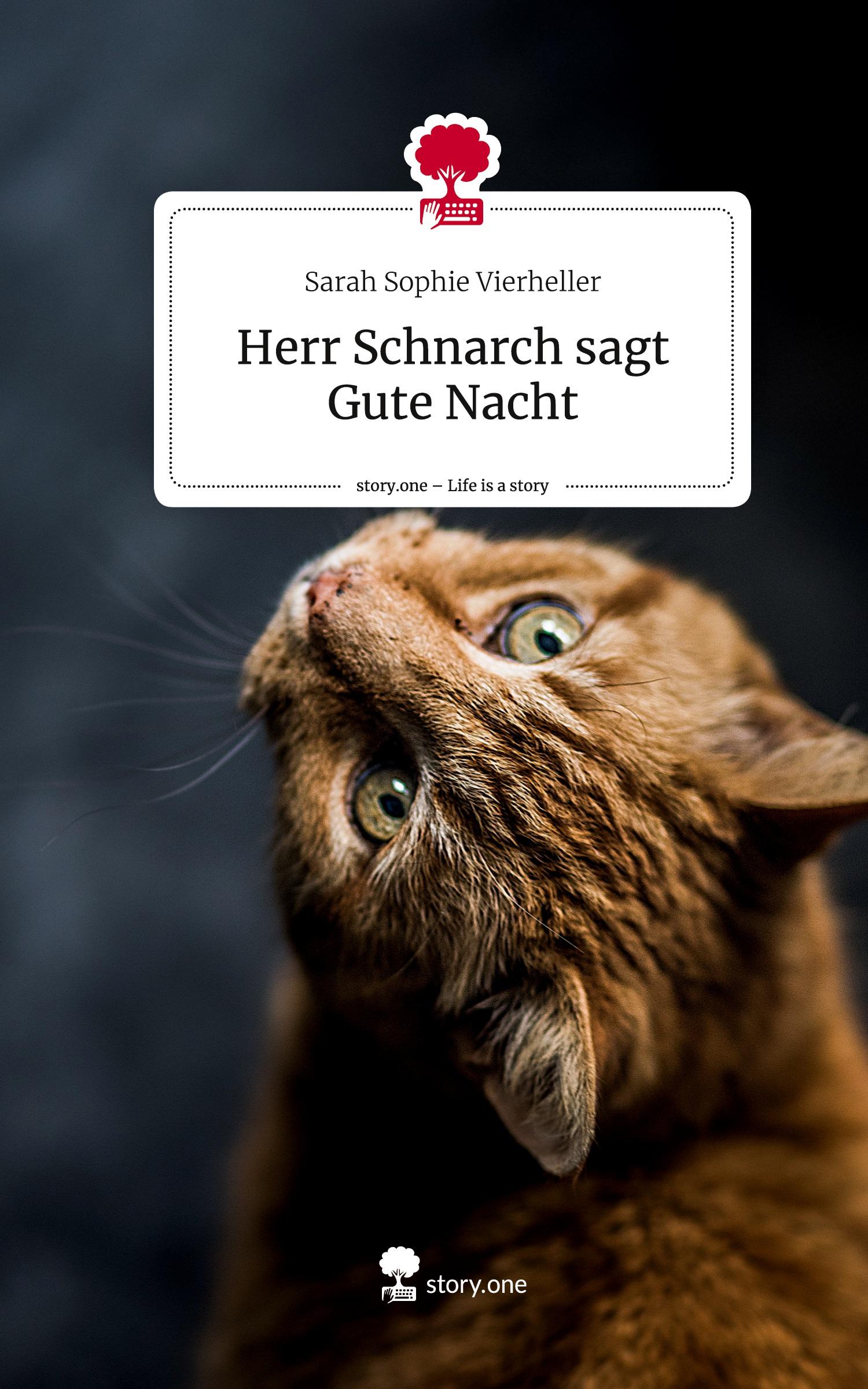 Cover: 9783710836350 | Herr Schnarch sagt Gute Nacht. Life is a Story - story.one | Buch