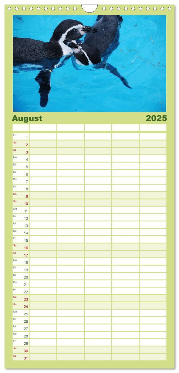 Bild: 9783457120293 | Familienplaner 2025 - Pinguine 2025 mit 5 Spalten (Wandkalender, 21...