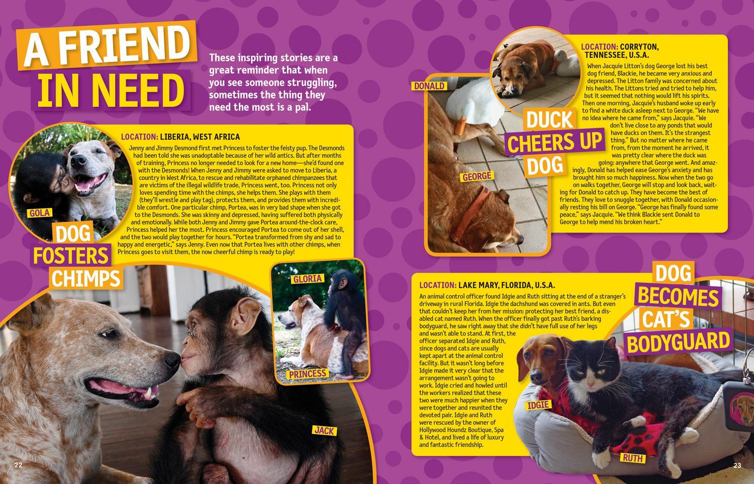 Bild: 9781426330186 | 125 Animal Friendships | National Geographic Kids (u. a.) | Buch | 125