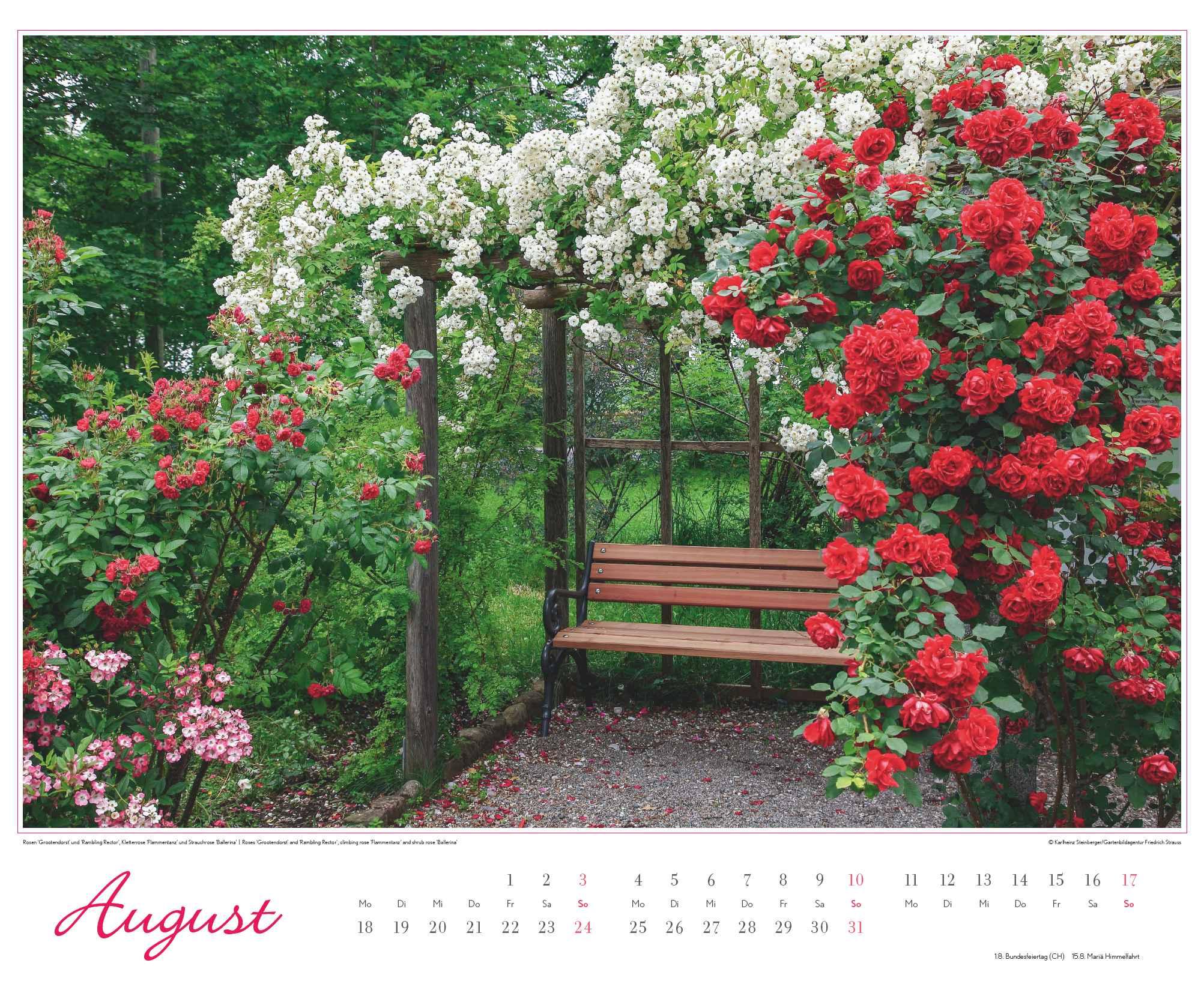 Bild: 4250809653457 | Im Rosengarten 2025 - DUMONT Garten-Kalender - Querformat 52 x 42,5...