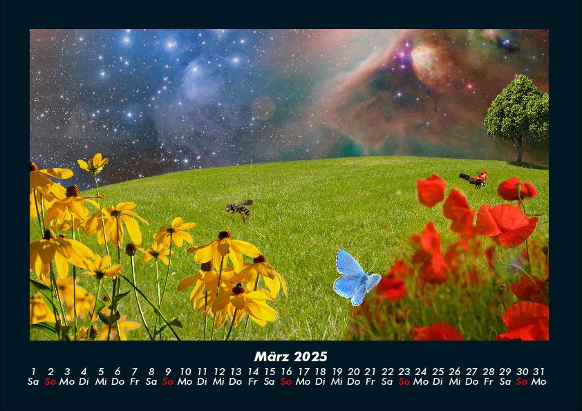 Bild: 9783755992325 | Blumenträume 2025 Fotokalender DIN A4 | Tobias Becker | Kalender