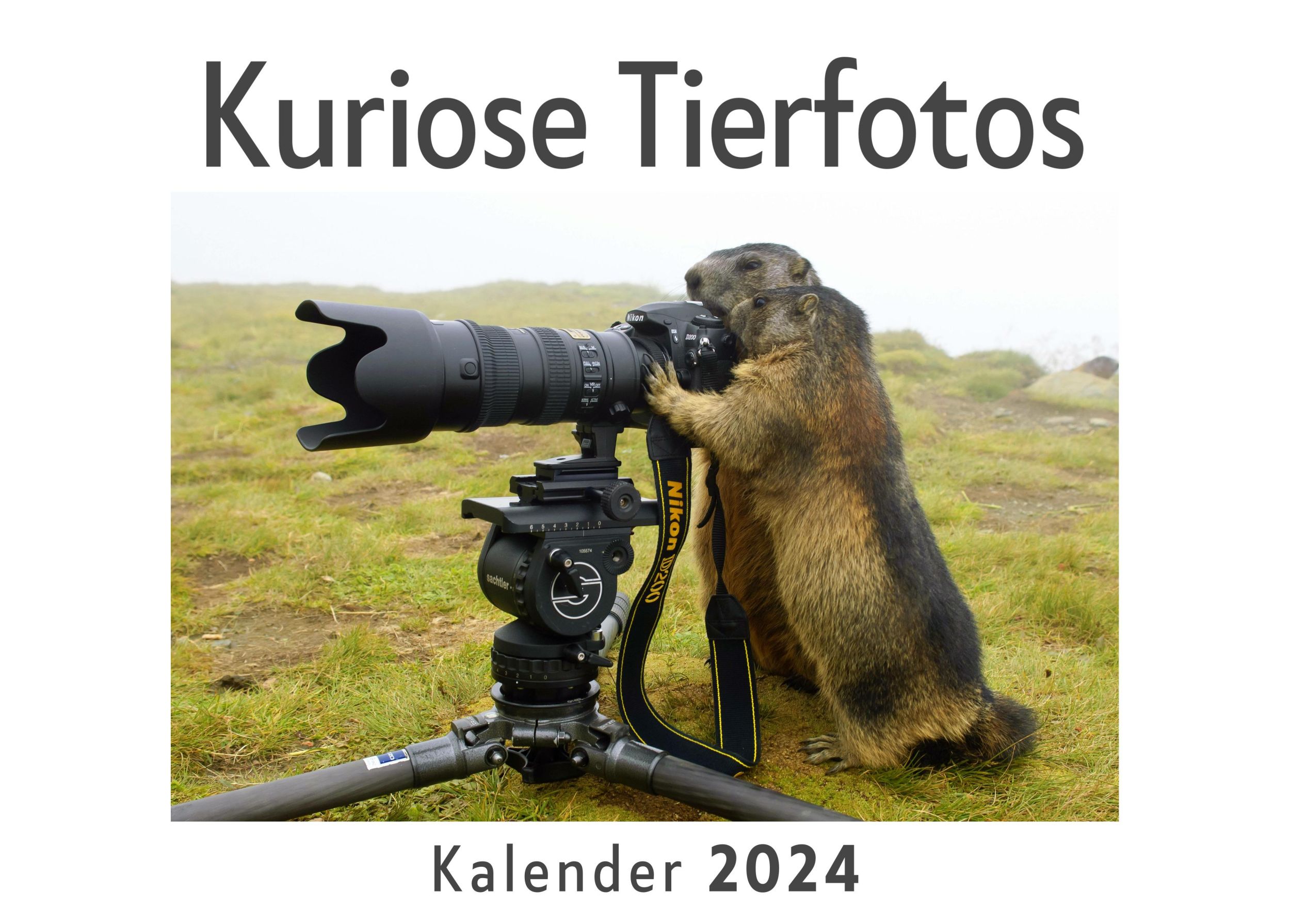 Cover: 9783750544277 | Kuriose Tierfotos (Wandkalender 2024, Kalender DIN A4 quer,...