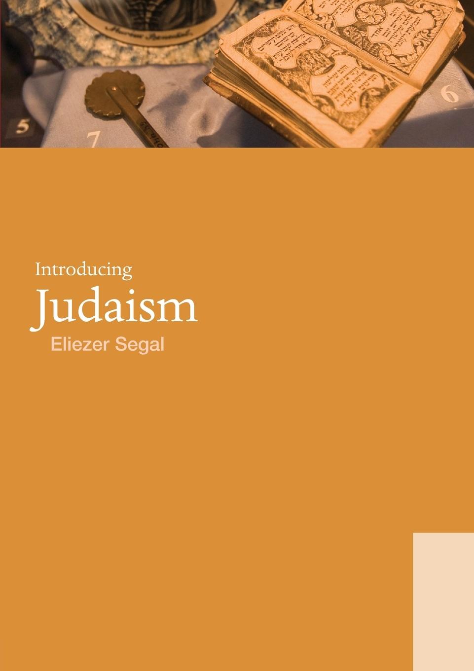 Cover: 9780415440097 | Introducing Judaism | Eliezer Segal | Taschenbuch | Paperback | 2008