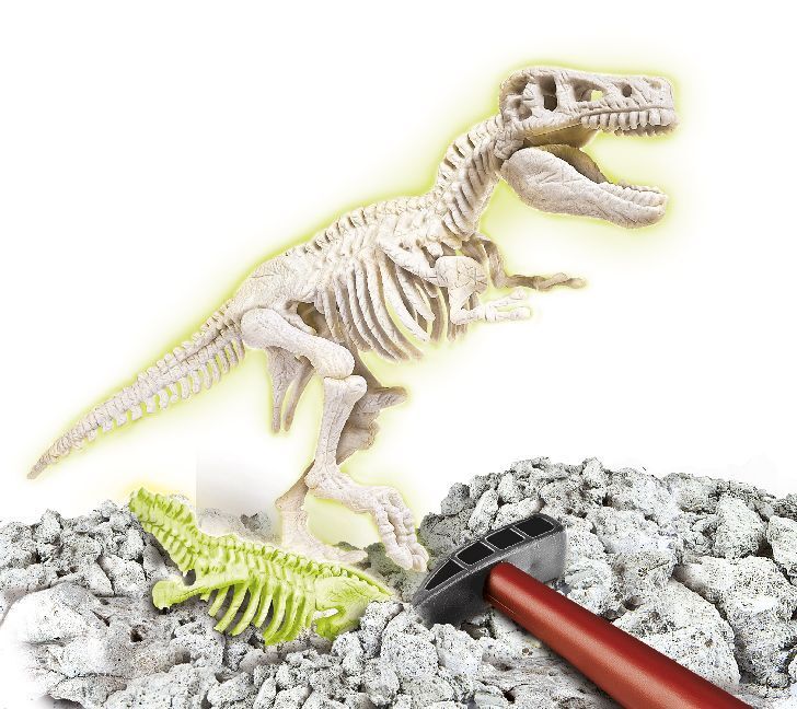 Bild: 8005125694044 | Ausgrabungs-Set - T-Rex fluoreszierend (Experimentierkasten) | Spiel