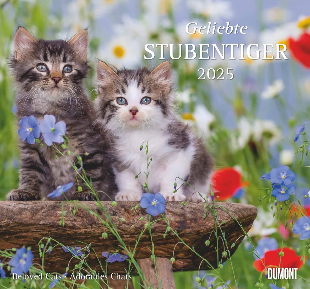 Cover: 4250809652498 | DUMONT - Geliebte Stubentiger 2025 Wandkalender, 38x35,5cm,...