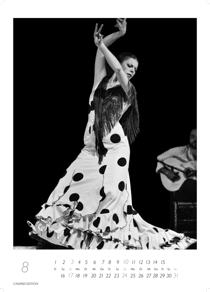 Bild: 9781835241387 | Flamenco schwarz-weiss 2025 | Kalender | 14 S. | Deutsch | 2025