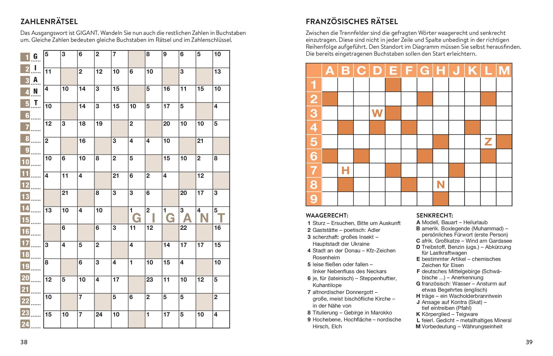 Bild: 9783987640322 | Mega-Rätsel Großdruck - Band 2 Bunter Rätselmix in Großschrift | Buch