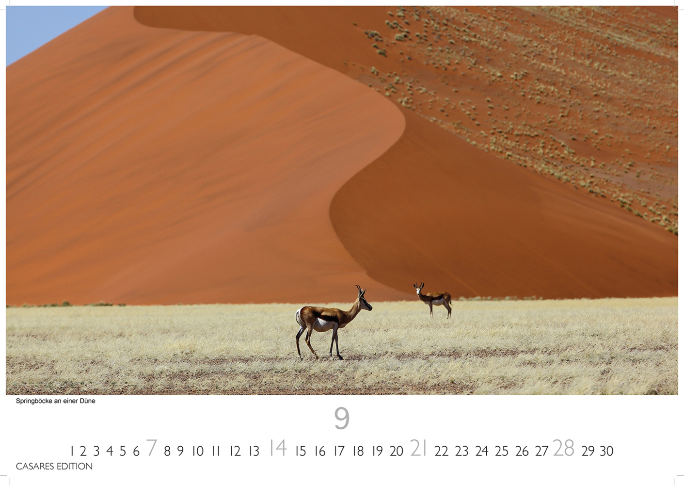 Bild: 9781835240632 | Namibia 2025 S 24x35 cm | Kalender | 14 S. | Deutsch | 2025