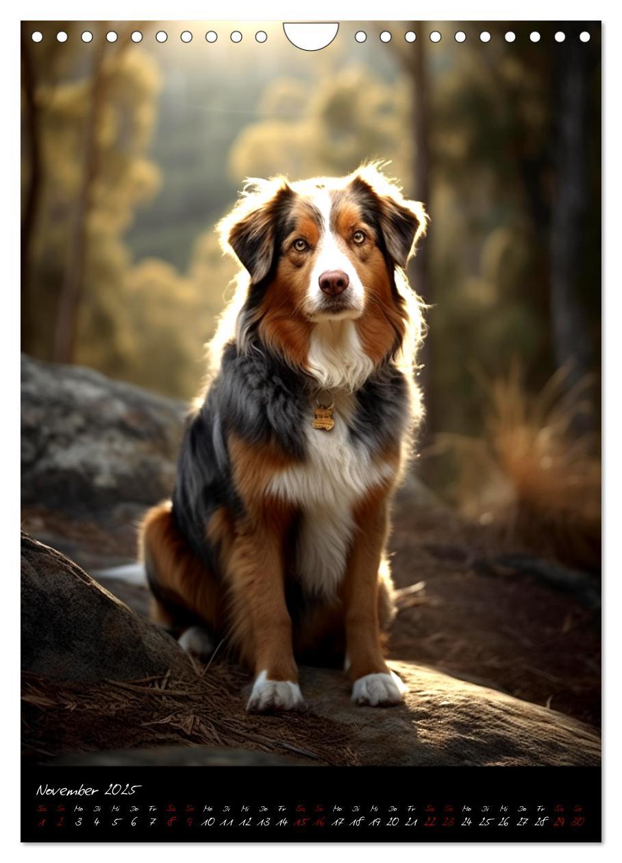 Bild: 9783435872602 | Australian Shepherd (Wandkalender 2025 DIN A4 hoch), CALVENDO...