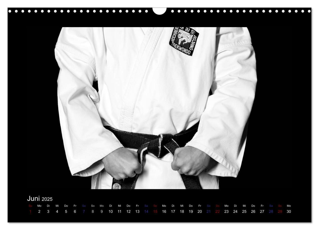 Bild: 9783435418688 | Traditionelles Taekwon-Do (Wandkalender 2025 DIN A3 quer), CALVENDO...