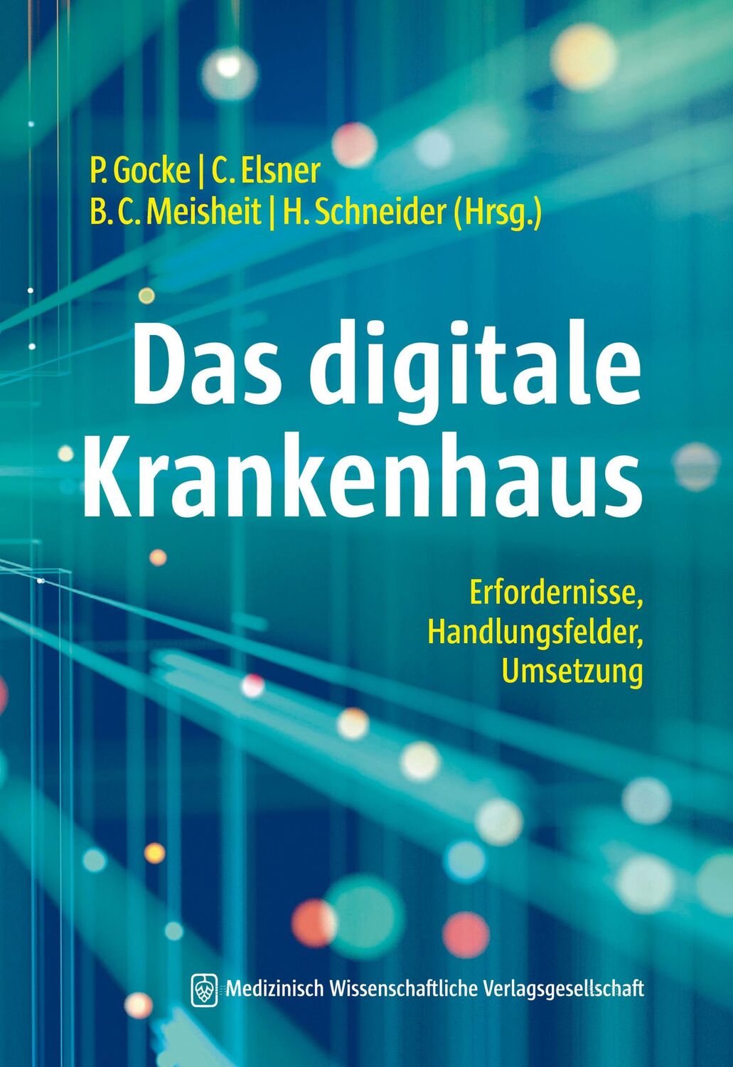 Cover: 9783954666966 | Das digitale Krankenhaus | Erfordernisse, Handlungsfelder, Umsetzung