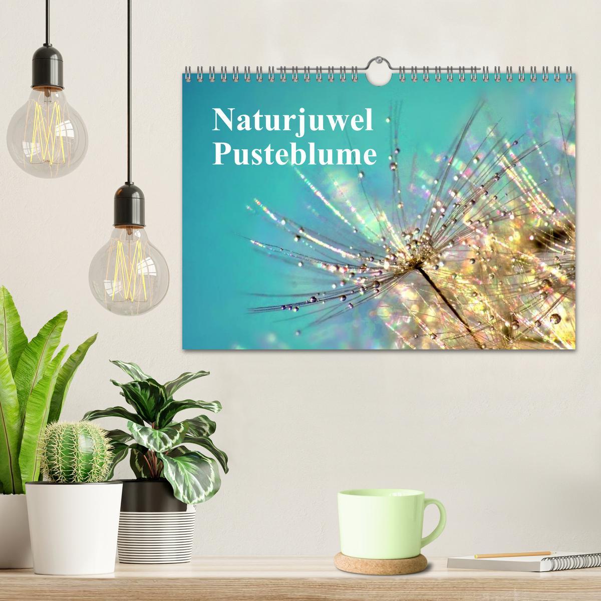 Bild: 9783435746910 | Naturjuwel Pusteblume (Wandkalender 2025 DIN A4 quer), CALVENDO...