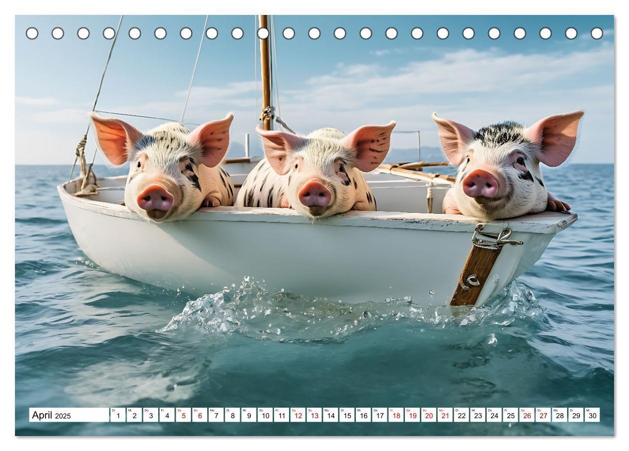 Bild: 9783383835292 | Schwimmende Schweine im Paradies (Tischkalender 2025 DIN A5 quer),...