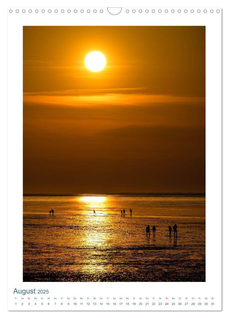 Bild: 9783435955480 | Ostfriesland - Fotos von forstfotografie (Wandkalender 2025 DIN A3...