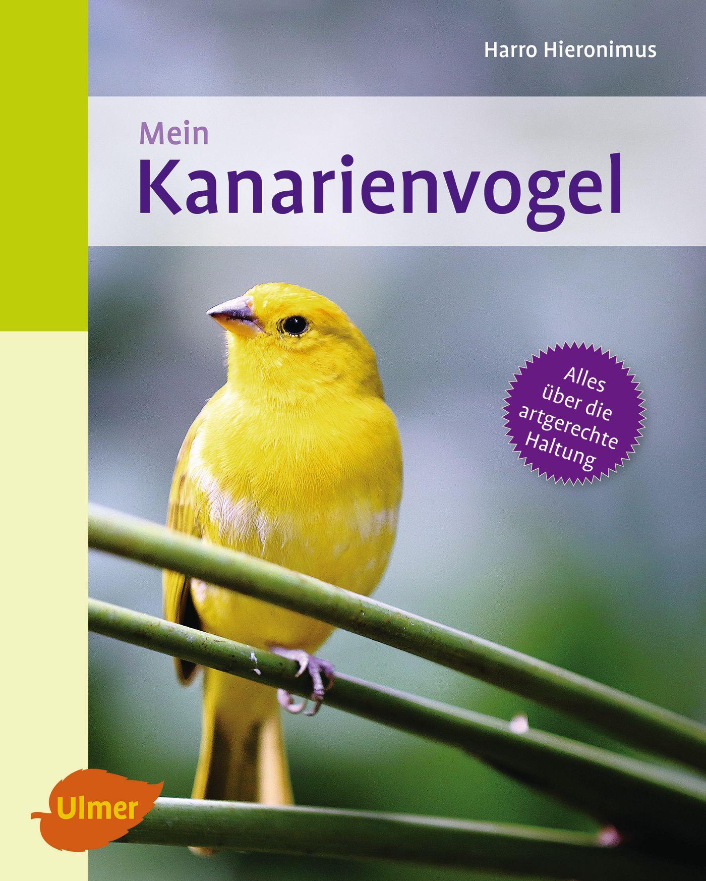 Cover: 9783800108770 | Mein Kanarienvogel zu Hause | Harro Hieronimus | Taschenbuch | 64 S.