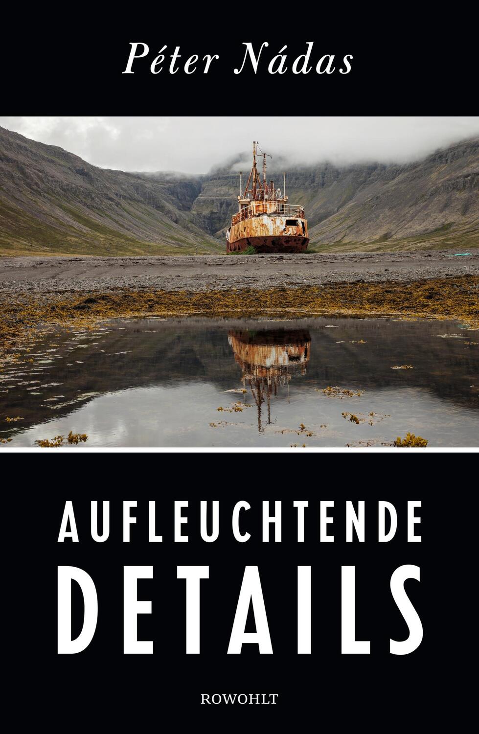 Cover: 9783498046972 | Aufleuchtende Details | Memoiren eines Erzählers | Péter Nádas | Buch