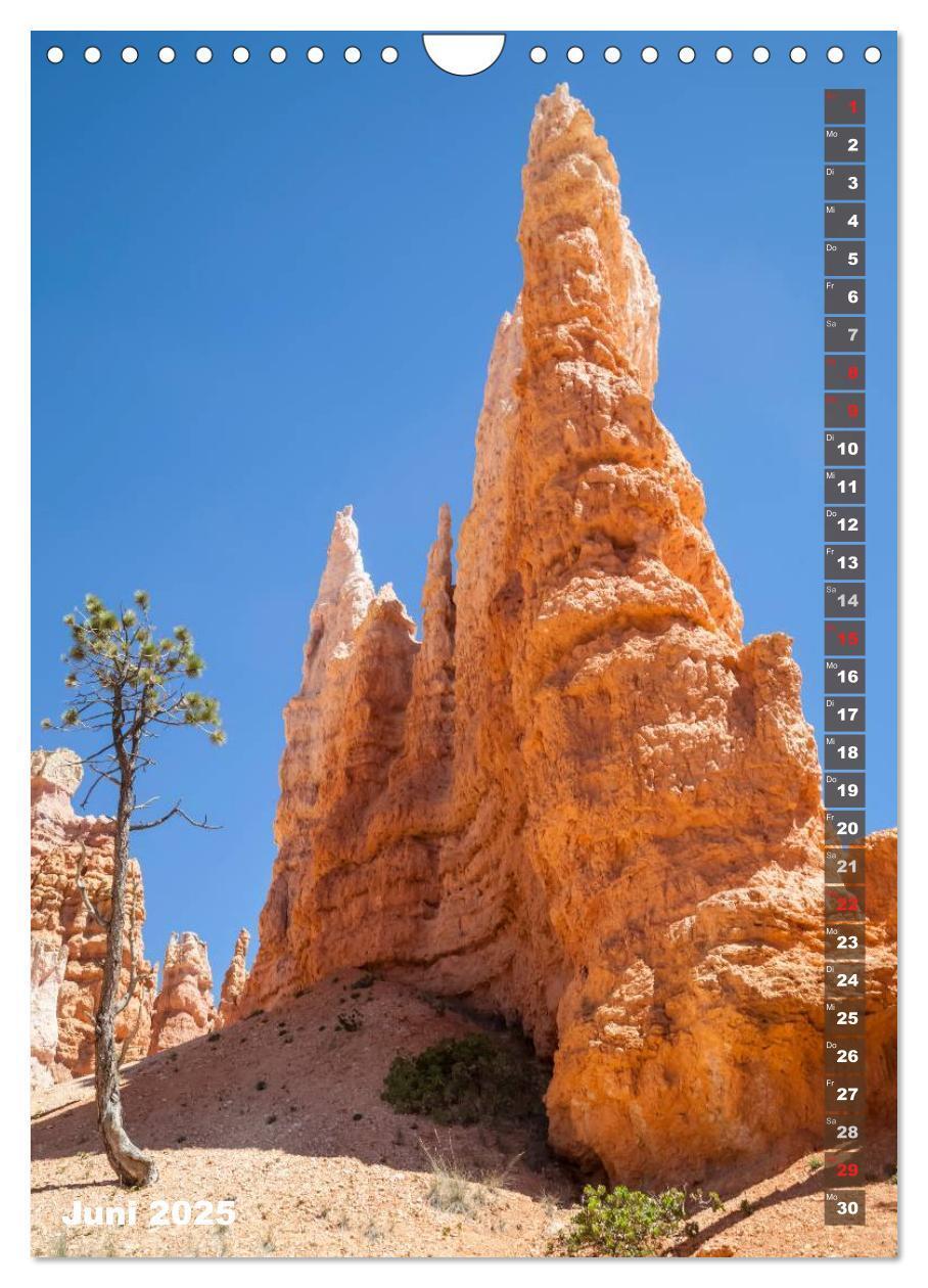 Bild: 9783435973507 | BRYCE CANYON Natur Pur (Wandkalender 2025 DIN A4 hoch), CALVENDO...