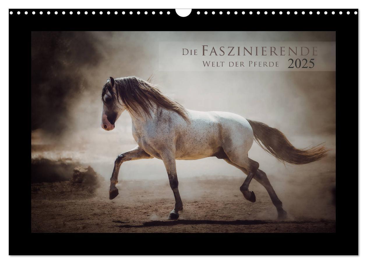 Cover: 9783435272099 | Die Faszinierende Welt der Pferde (Wandkalender 2025 DIN A3 quer),...