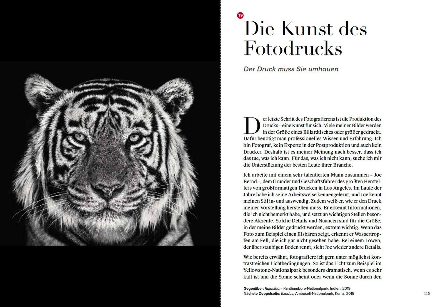 Bild: 9783038762140 | Wie ich Fotos mache | Masters of Photography | David Yarrow | Buch