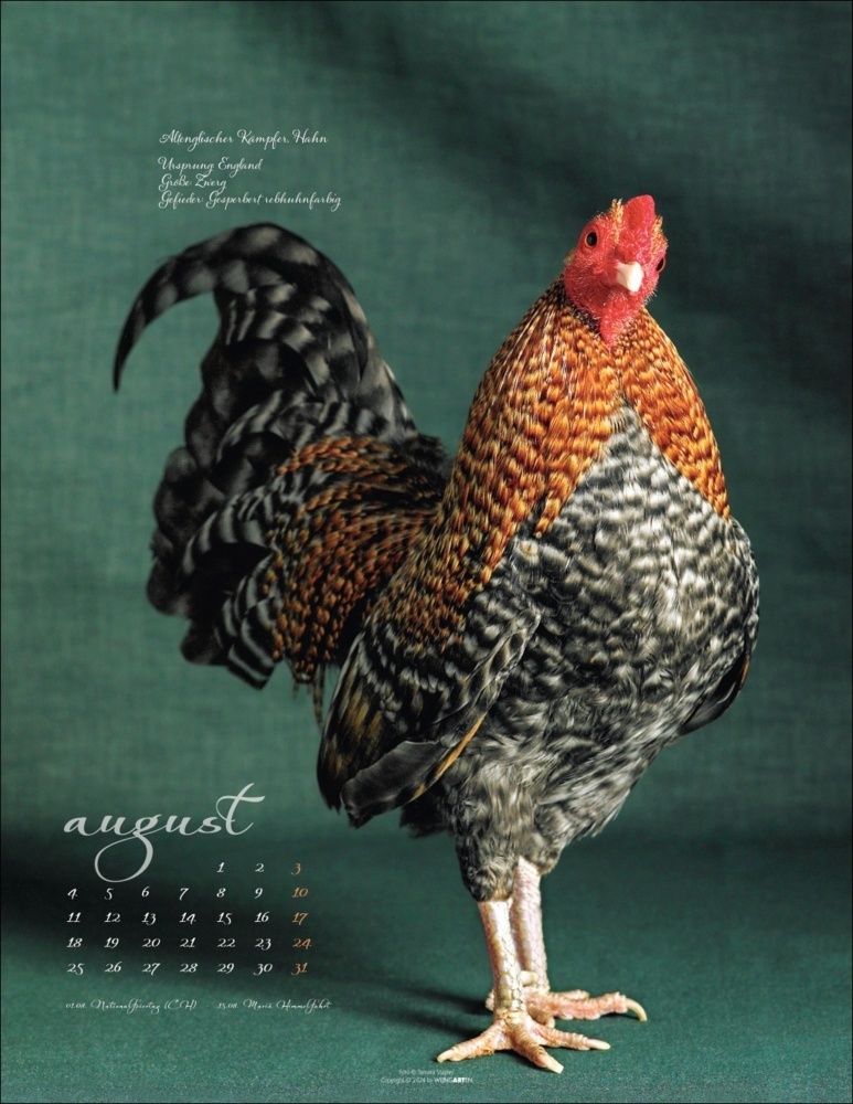 Bild: 9783839901045 | Pretty Chicks Kalender 2025 | Tamara Staples | Kalender | 14 S. | 2025