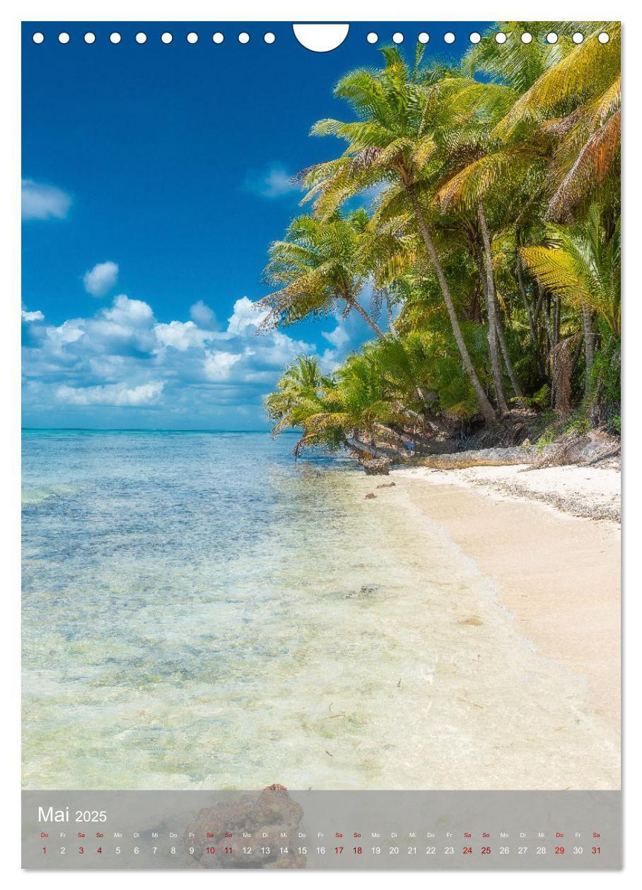 Bild: 9783435916689 | Karibischer Traum Isla Saona (Wandkalender 2025 DIN A4 hoch),...