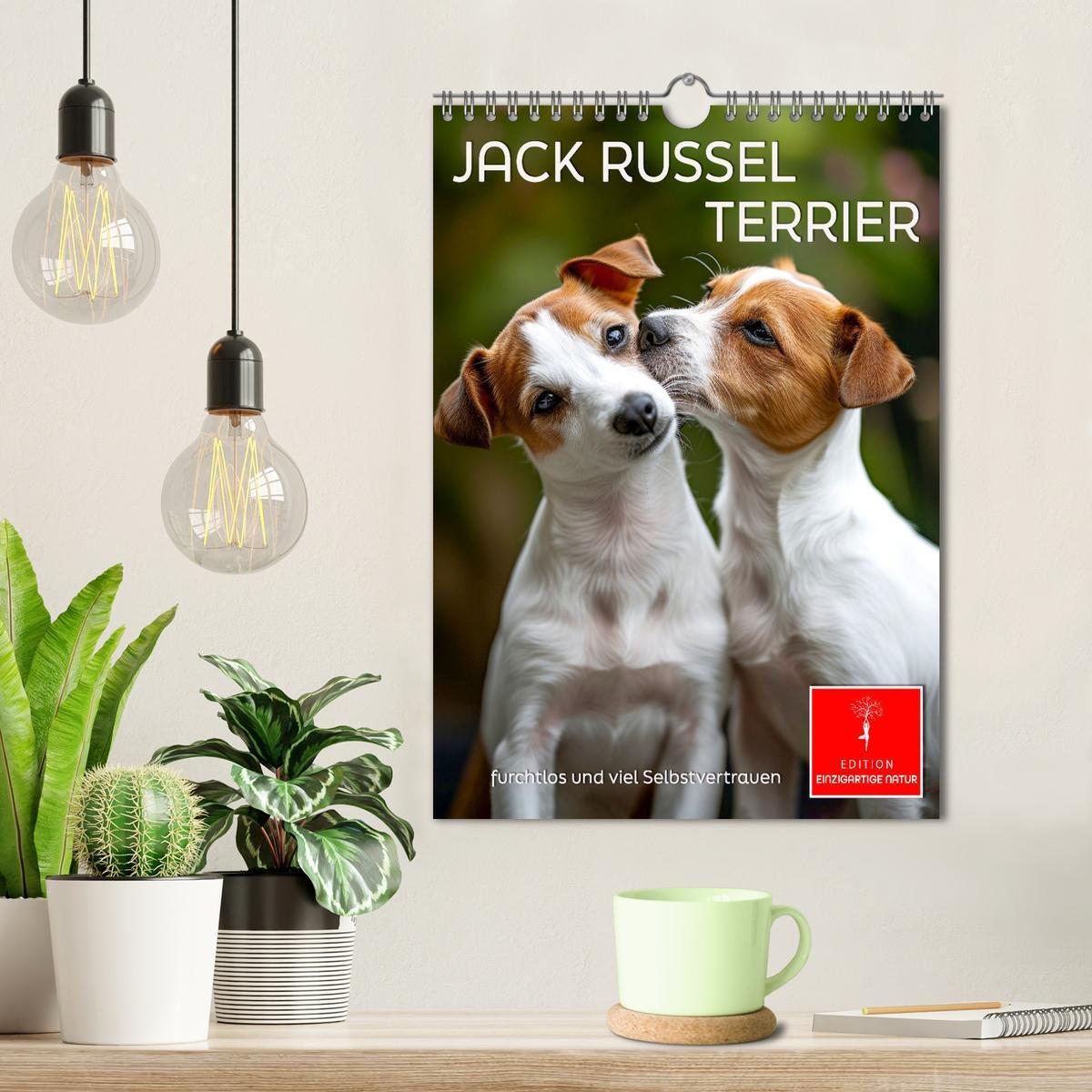 Bild: 9783383778759 | Jack Russel Terrier - furchtlos und viel Selbstvertrauen...