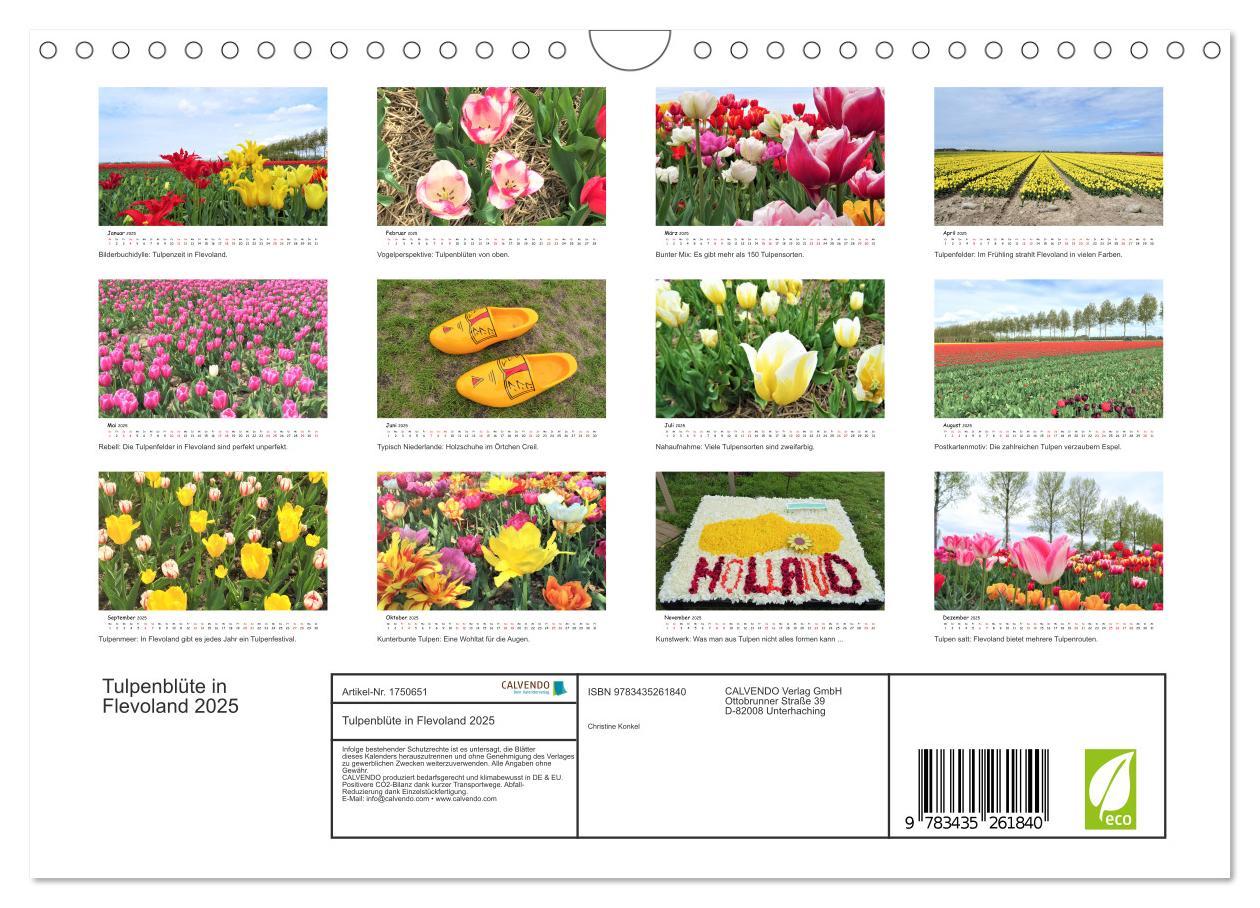 Bild: 9783435261840 | Tulpenblüte in Flevoland 2025 (Wandkalender 2025 DIN A4 quer),...