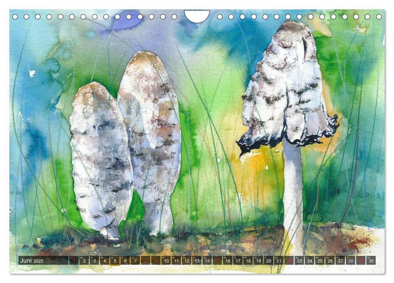 Bild: 9783435602124 | Pilze in Aquarell (Wandkalender 2025 DIN A4 quer), CALVENDO...