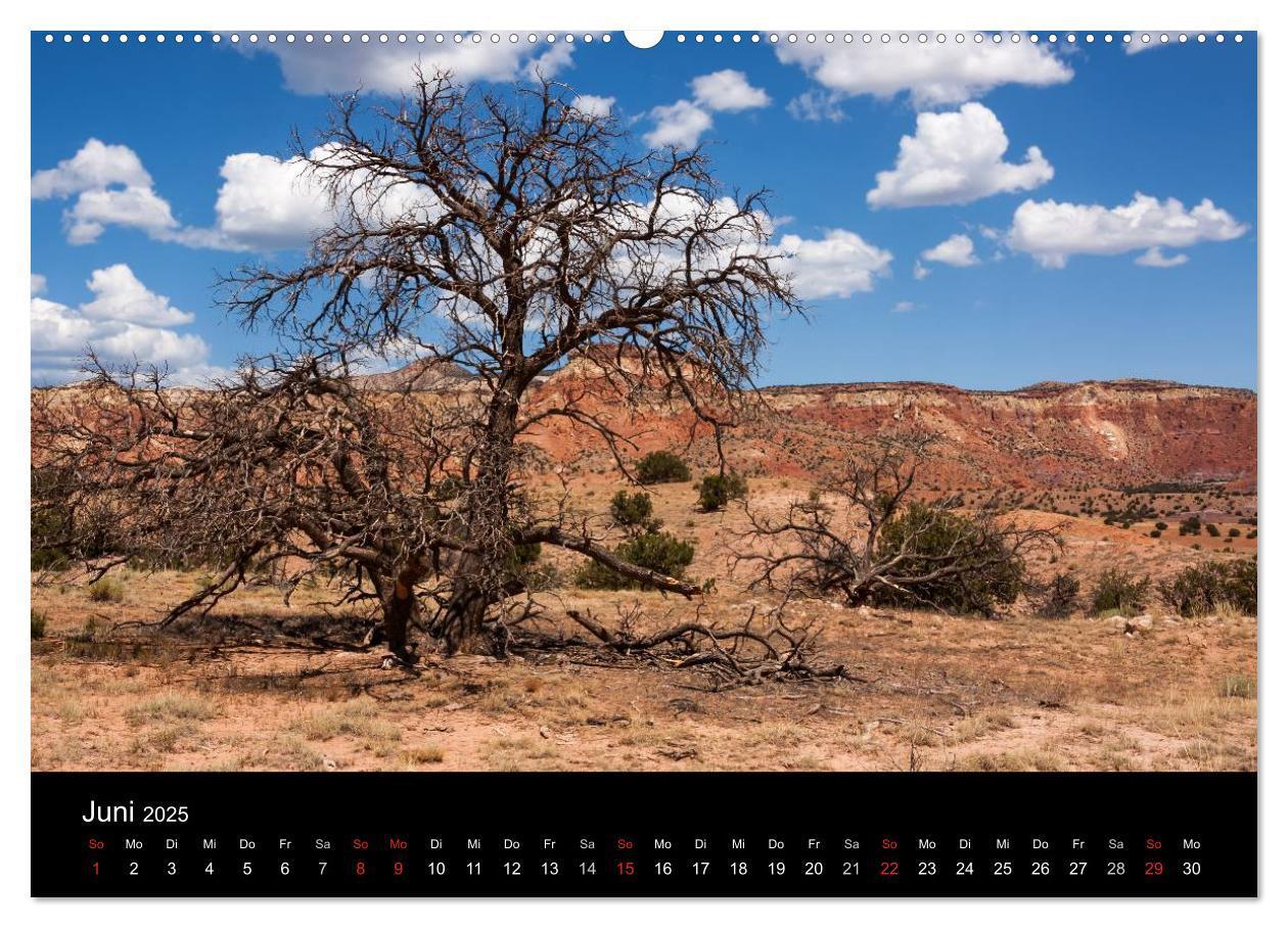 Bild: 9783435812806 | Treasures of New Mexico (Wandkalender 2025 DIN A2 quer), CALVENDO...