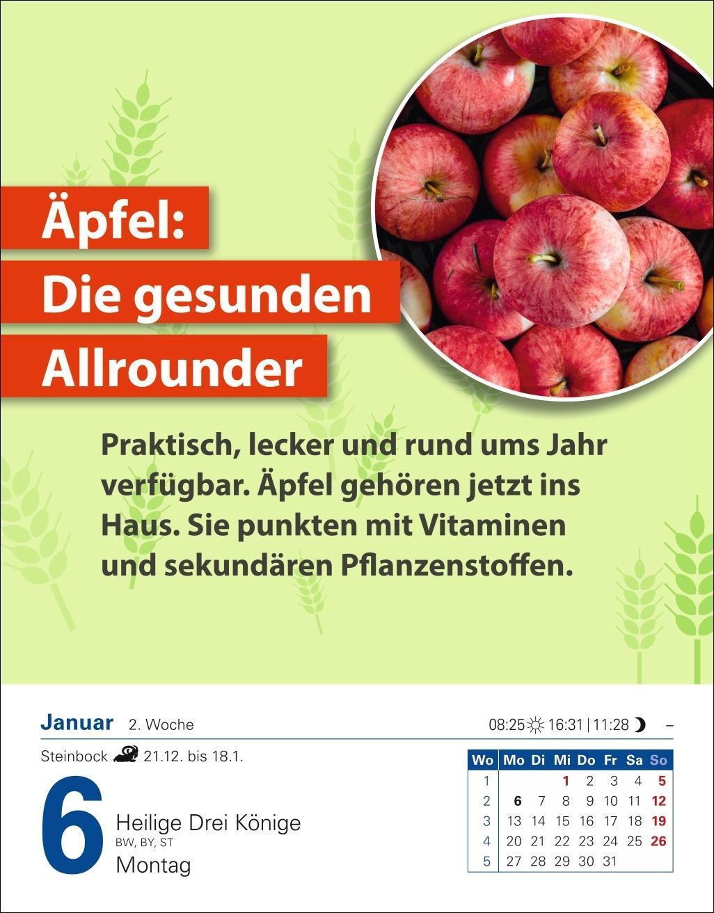 Bild: 9783756409105 | Die Ernährungs-Docs - Gesund durch das Jahr Tagesabreißkalender 2025