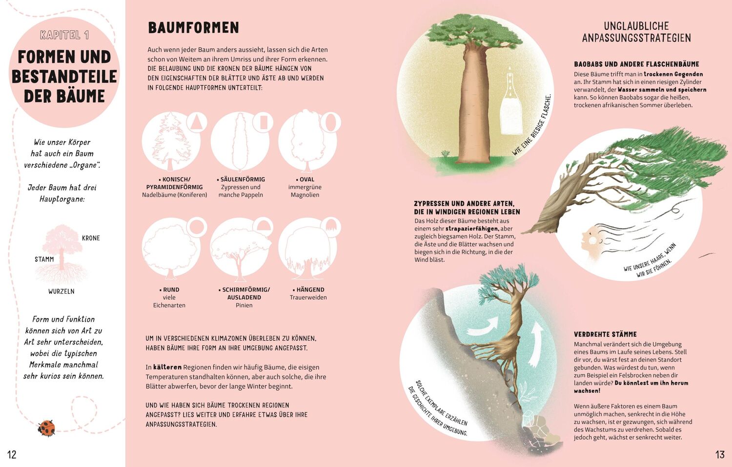 Bild: 9788863126976 | Das Geheimnis der Bäume. Ein Naturbilderbuch | Novellino | Buch | 2024